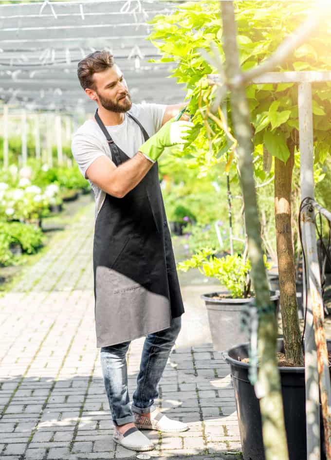 Homme s’occupant d’un grand nettoyage dans un jardin à Genève